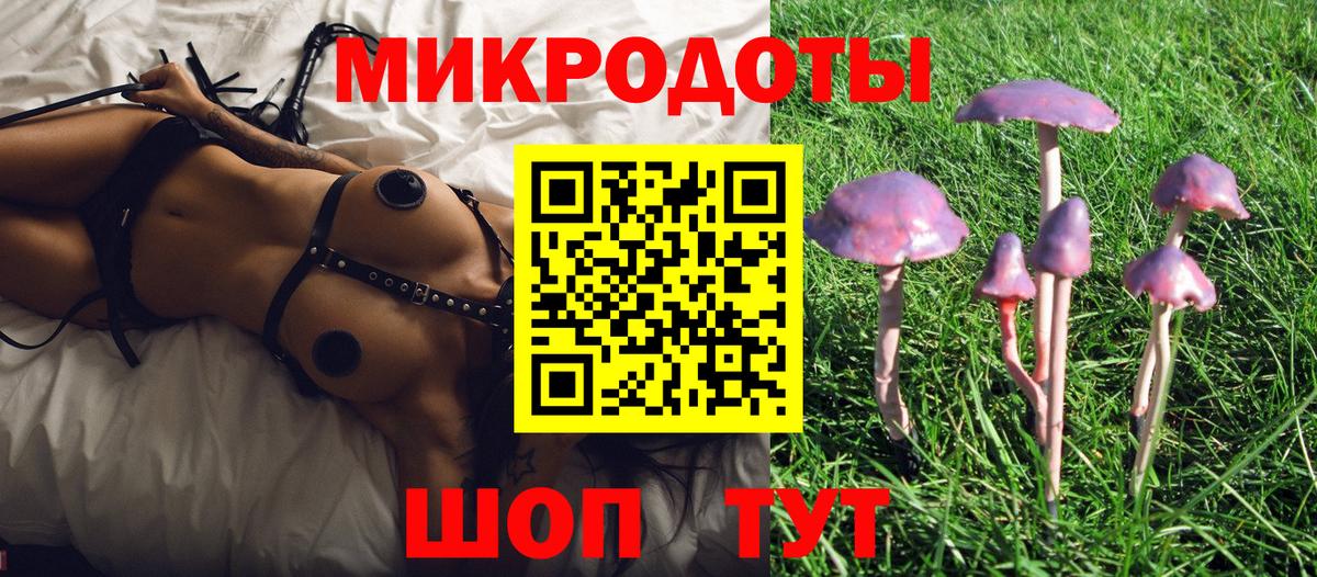Псилоцибиновые грибы мухоморы Черняховск