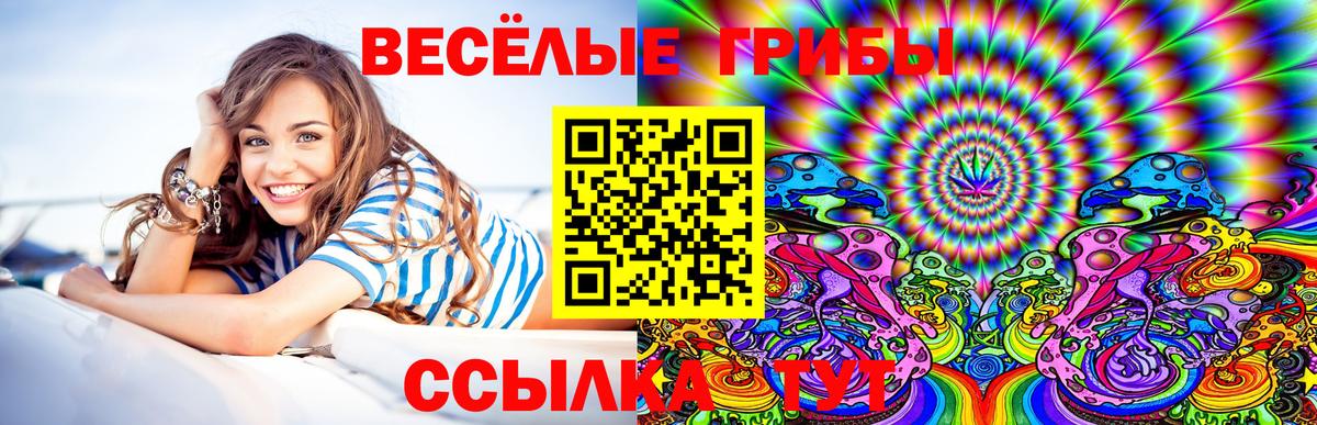 Галлюциногенные грибы Psilocybine cubensis  Вход с VPN  Галлюциногенные грибы прущие грибы  Черняховск 